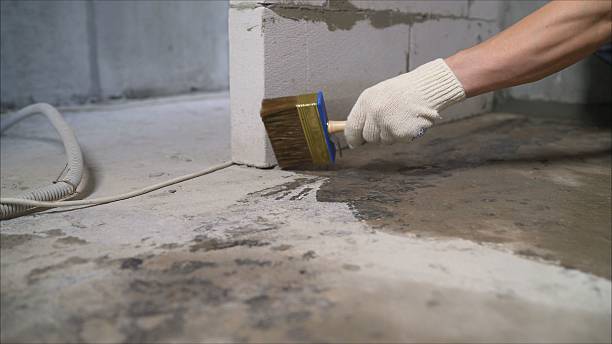 24/7 Emergency Exterior Waterproofing experts in Webberville, MI